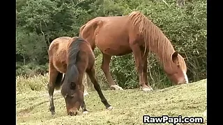 Gay XXX 10