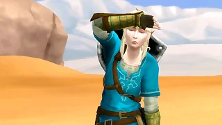 Legend Of Zelda 2 - Link Gets Engrossed In An obstacle Desert